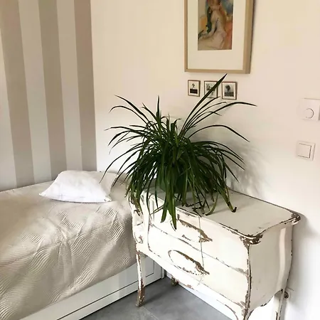 Mit Blick Ins Gruene Apartmán *