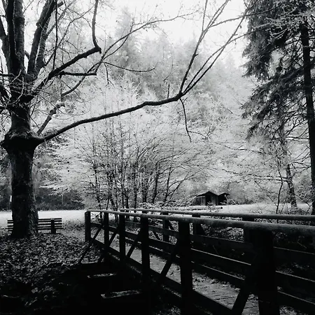 Mit Blick Ins Gruene