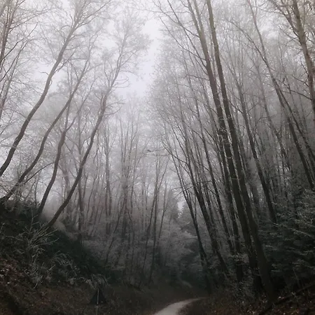 Mit Blick Ins Gruene Apartmán