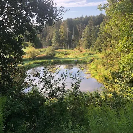 Mit Blick Ins Gruene Apartmán