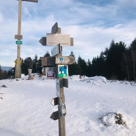 Mit Blick Ins Gruene *