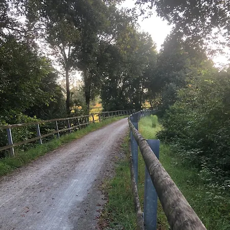 Mit Blick Ins Gruene